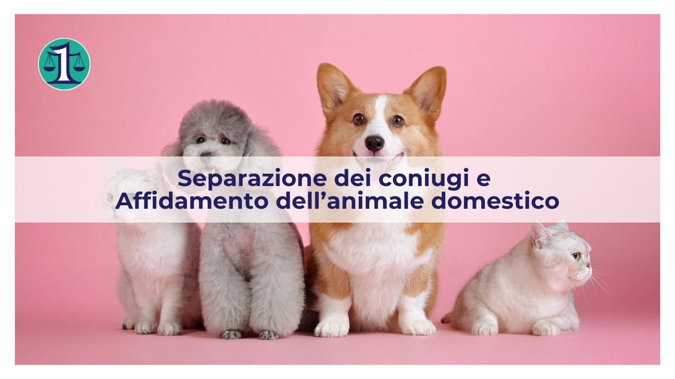 <strong>L’affidamento dell’animale domestico nei procedimenti di separazione e divorzio</strong>
